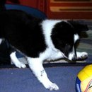 Fußballstar der Zukunft?