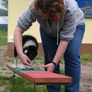 Wippe üben macht Spaß...und satt