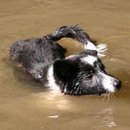 Sie kann schwimmen :o)