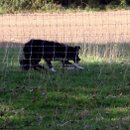 IMG_5159