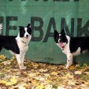 Kelly links und Cloud rechts...zwei Unschuldslämmer ;o)