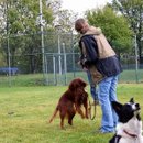 Madeleine übt mit Sandy und Cloud himmelt nach wie vor Frauchen an