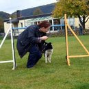 Hindernisparcours mit Hund und Schokobon