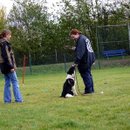 In der einen Hand den Löffel mit Bon und mit der anderen Hand den Hund loben...