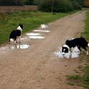 Kelly trinkt und Cloud paßt auf