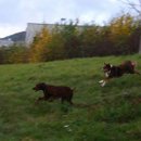 Bobby fand Sandy unglaublich toll