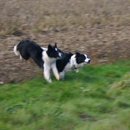 Chelsea (gestreckt) und Cloud