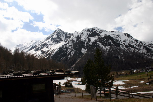 IMG_2787.jpg