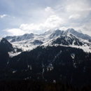 IMG_2827.jpg
