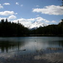 IMG_2922.jpg