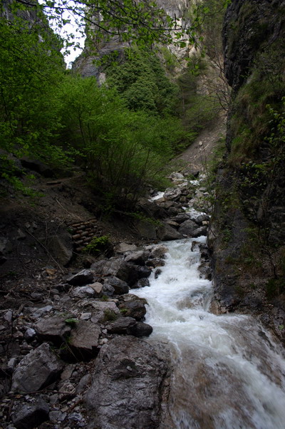 IMG_3315.jpg