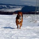 ich komme!!!