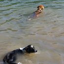 Aus dem Wettschwimmen wurde dann doch nichts...Cloud gibt vorher auf...