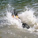 Wasserbombe