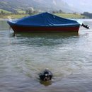 Romantische Seenlandschaft - oder: Boot mit Hund