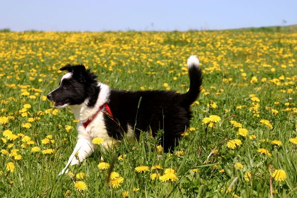 05-mai.jpg
