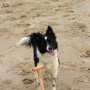 Strandarbeit