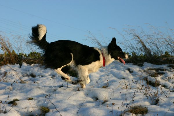 01-Januar.jpg