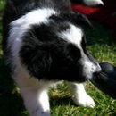 Unser kleiner Stinker ;o)