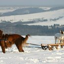 Dezember - Nächster Halt: 2007