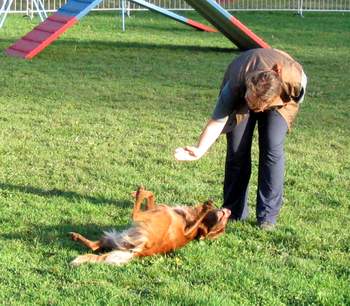 Nicole und Laska beim Dogdancing