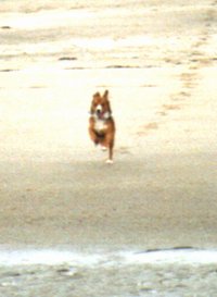 Strandfoto