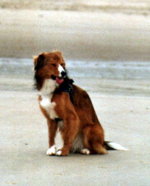 Strandfoto