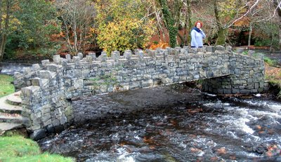 Schön gemachte Brücke