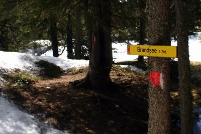 Brandsee II