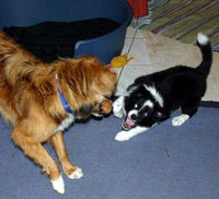 Pearl und Cloud lassen es krachen...