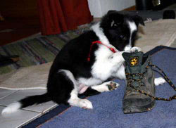 Schuhe sind toll!